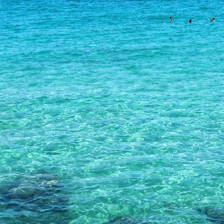 Casa Luce Διαμέρισμα Monopoli Εξωτερικό φωτογραφία